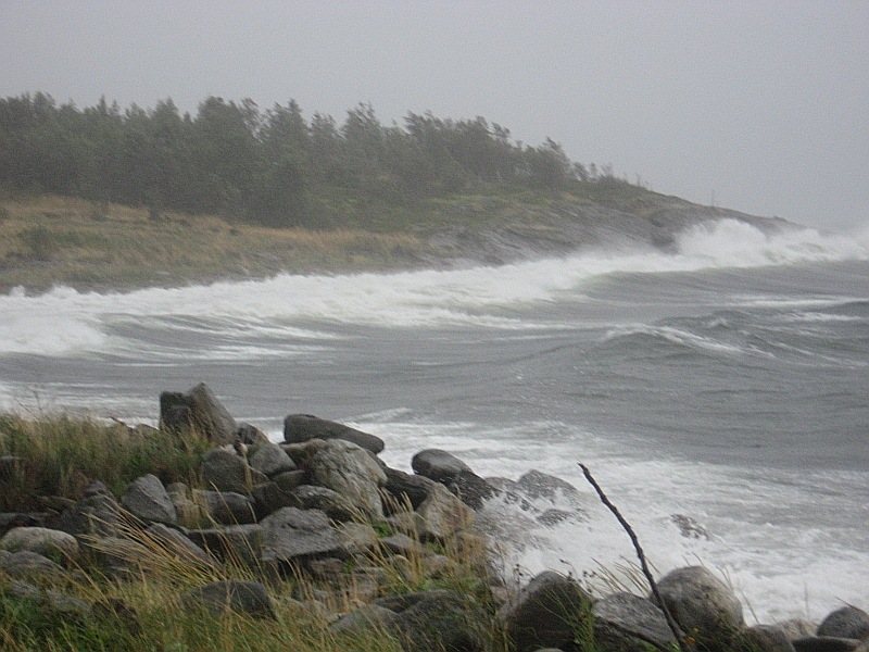 Høststormen i 2009